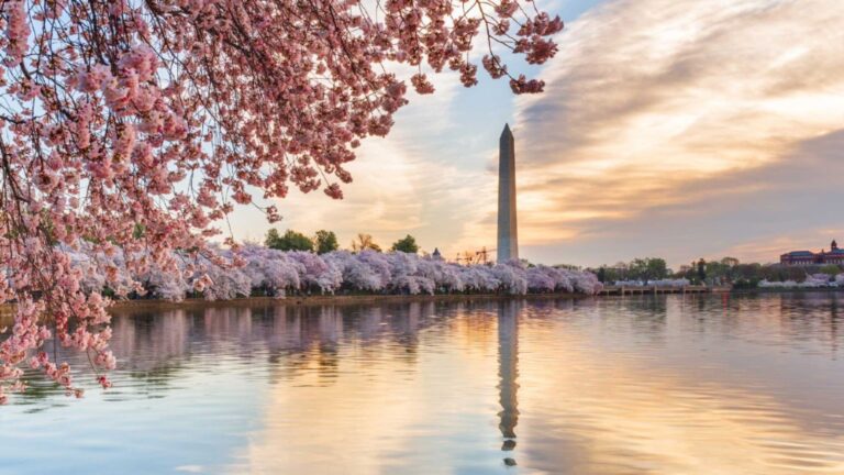 eDiscovery Document Preservation, How AI Impacts Antitrust, and More